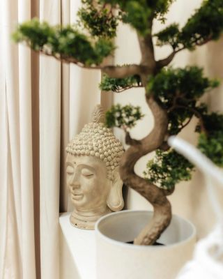 Naše malá zenová zahrada je oázou klidu uprostřed ruchu všedních dní. 🌿 Už při vstupu k nám se nadechnete jinak –...